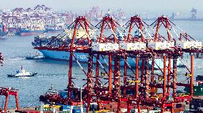 Shandong Port Container Throughput Record