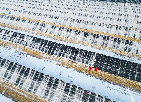 Photovoltaic Power in Snow