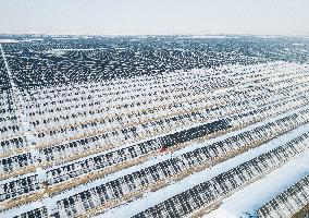 Photovoltaic Power in Snow