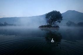 Nepal Wildlife