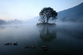 Nepal Wildlife