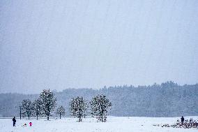 A Winter Day In Bavaria