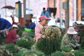 Rural Women Employment in Liuzhou - China -