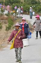 Rural Women Employment in Liuzhou - China -