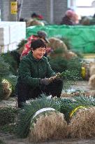 Rural Women Employment in Liuzhou - China -