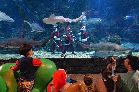 Santa Claus Scuba Divers At Aquarium - Bangkok