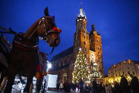 Christmas Tree In Krakow Named The World's Most Beautiful