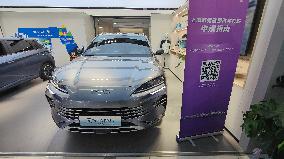 China's first new energy vehicle district in Shanghai