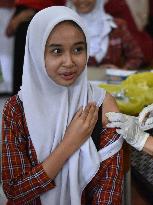 Cervical Cancer Prevention Programs In Indonesia