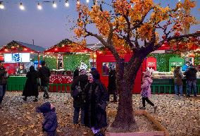 Daily Life And Yalda Night Eve In Tehran