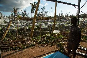 Agricultural Sectors Devasted After Cyclone Chido - Mayotte