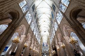 Illustration of Notre Dame de Paris Inside and Outside - Paris AJ