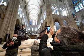 Illustration of Notre Dame de Paris Inside and Outside - Paris AJ