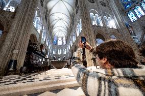 Illustration of Notre Dame de Paris Inside and Outside - Paris AJ