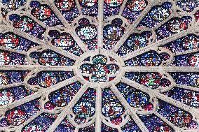 Illustration of Notre Dame de Paris Inside and Outside - Paris AJ