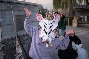 Daily Life In Tehran