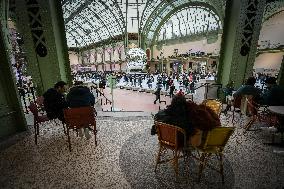 Ice skating rink at the Grand Palais in Paris FA