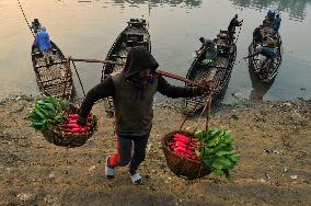 Cultivators Transport Winter Seasonal Vegetables - Bangladesh