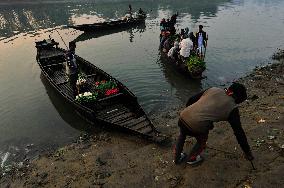 Cultivators Transport Winter Seasonal Vegetables - Bangladesh