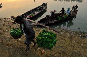 Cultivators Transport Winter Seasonal Vegetables - Bangladesh