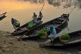 Cultivators Transport Winter Seasonal Vegetables - Bangladesh