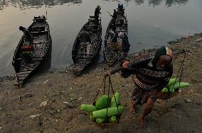 Cultivators Transport Winter Seasonal Vegetables - Bangladesh