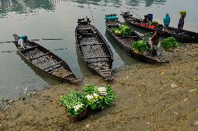 Cultivators Transport Winter Seasonal Vegetables - Bangladesh