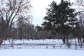 Frigid Temperatures And Snowy Weather In Toronto