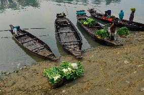 Cultivators Transport Winter Seasonal Vegetables