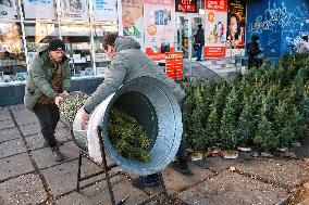 Sale of Christmas trees in Odesa