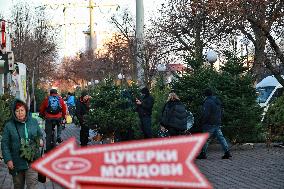 Sale of Christmas trees in Odesa