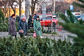 Sale of Christmas trees in Odesa