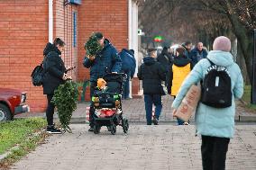 Sale of Christmas trees in Odesa