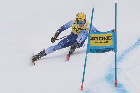 SPORT INVERNALI - Sci Alpino - AUDI FIS Ski World Cup - SuperG - Men