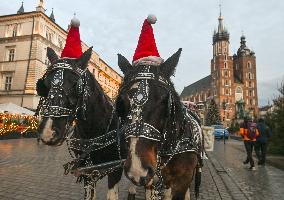 Daily Life In Krakow