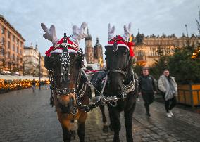 Daily Life In Krakow