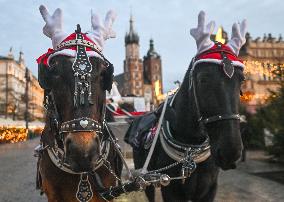 Daily Life In Krakow