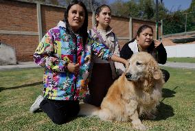 Guide Dog Training School For The Blind I.A.P In Mexico City, Fights Against Discrimination