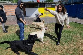 Guide Dog Training School For The Blind I.A.P In Mexico City, Fights Against Discrimination