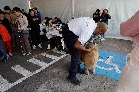 Guide Dog Training School For The Blind I.A.P In Mexico City, Fights Against Discrimination