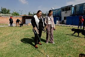 Guide Dog Training School For The Blind I.A.P In Mexico City, Fights Against Discrimination