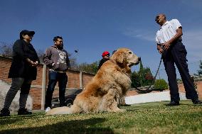 Guide Dog Training School For The Blind I.A.P In Mexico City, Fights Against Discrimination