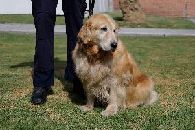 Guide Dog Training School For The Blind I.A.P In Mexico City, Fights Against Discrimination