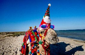 Christmas Camel With Santa Claus Hat On The Beach - Egypt