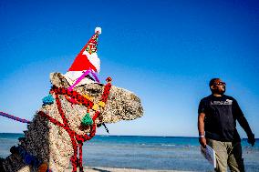 Christmas Camel With Santa Claus Hat On The Beach - Egypt