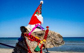 Christmas Camel With Santa Claus Hat On The Beach - Egypt