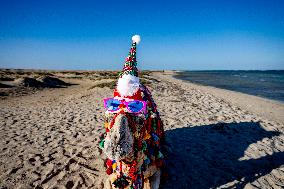 Christmas Camel With Santa Claus Hat On The Beach - Egypt