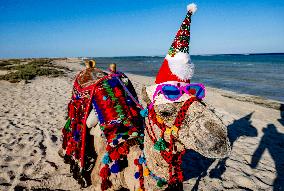 Christmas Camel With Santa Claus Hat On The Beach - Egypt