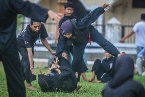 Pencak Silat, The Fighting Arts Of Indonesia