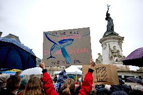 Supporters Of Anti-whaling Activist Paul Watson Stage A Rally In Paris